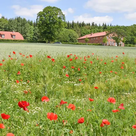 Gut Immenhof - 5 Apartman Malente